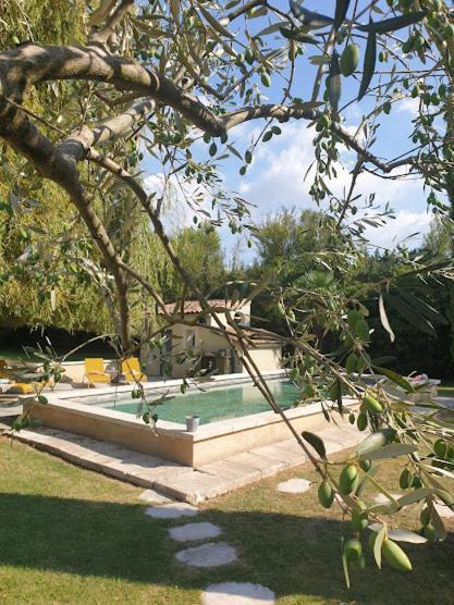 Mas Des Muses Bed & Breakfast L'Isle-sur-la-Sorgue Exterior photo